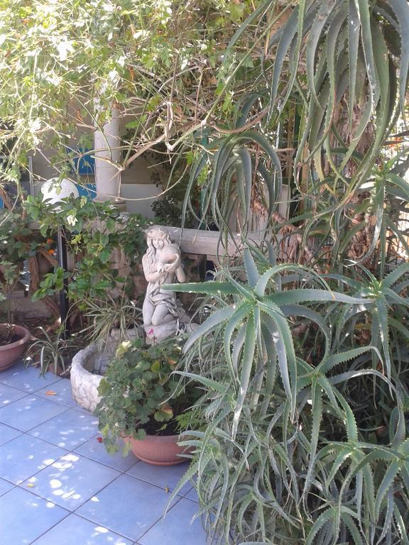 B&B Albatros Lipari  Dış mekan fotoğraf