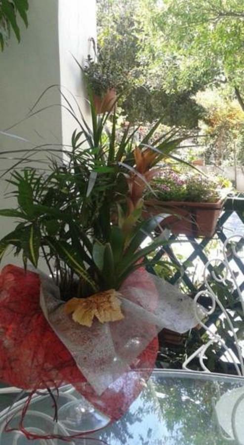 B&B Albatros Lipari  Dış mekan fotoğraf