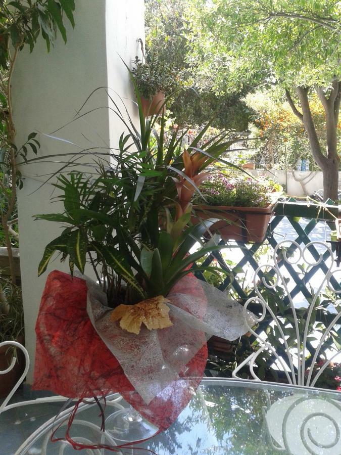 B&B Albatros Lipari  Dış mekan fotoğraf